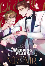 Wedding Plans for Mr. & Mr.